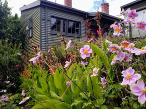 Tranquil Garden Cottage - South Hobart